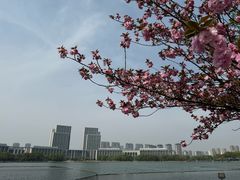 -尚贤河湿地
