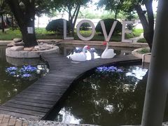 -枫花园汽车电影院(朝阳公园店)