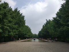 -玲珑塔公园