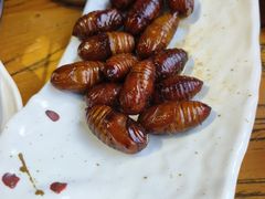 -新泉鲜肉木炭烤肉