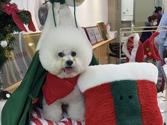 -美联众合动物医院·24h转诊中心