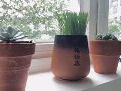 -稀物集咖啡(徽州大道店)