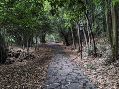 -潜山国家森林公园