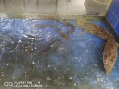 -大口潮边炉中餐火锅