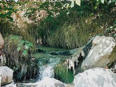 -白水寺森林公园