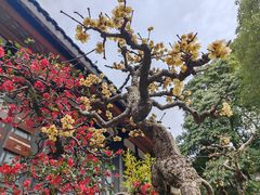-成都杜甫草堂博物馆
