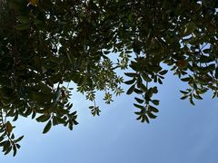 -风云岭森林公园