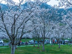 -幕燕滨江·燕子矶公园