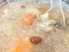 -泉州海丝野生动物世界