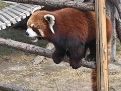 -水上乐园·欢乐世界