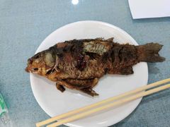 -北京华德宝宝马4S店(朝阳店)