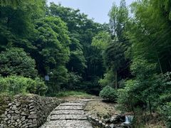 -仙霞关景区