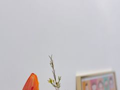 -知物癖(牛王庙店)