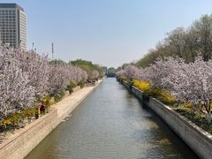 -元大都城垣遗址公园