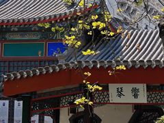 -莲池书院博物馆