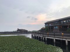 -新木器时代餐厅(太湖新天地店)