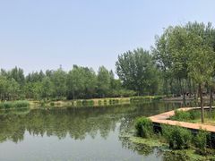 -东郊湿地公园