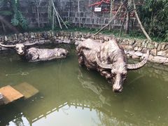 景点-燊海井
