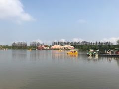 -上海长兴岛郊野公园