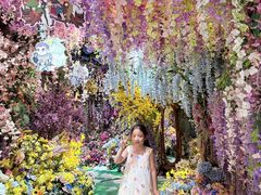 -正佳雨林生态植物园