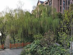 -高东镇樱花园