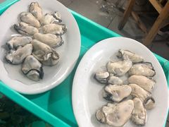 -濠轩阁特色生蚝火锅(水湾路店)