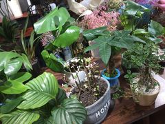 -何兮花店·气球派对鲜花店(马桥银春路万科城店)