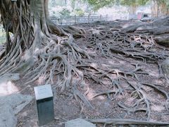 -晓港公园