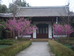 IMG_8542-望江楼公园