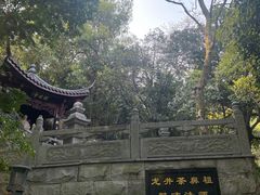 -十八棵（老龙井）御茶园(老龙井店)