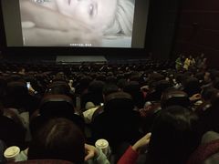 万达国际影城(锦华店)-万达影城(锦华万达广场IMAX店)