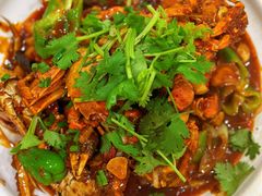 -龙小海荆沙鸽子店(瑞安街店)