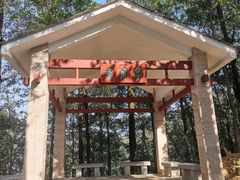 -火炉山森林公园