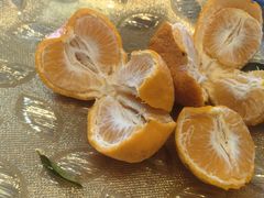 -呼吸森林·生态农庄农家乐私房菜