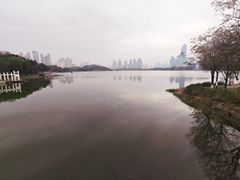 -月湖风景区
