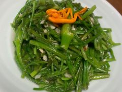 清炒水性杨花-老滇山寨•云南特色菜•地方菜•民族风情歌舞表演(世纪金源店)