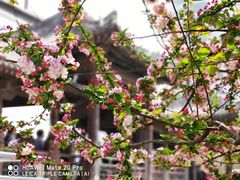-海棠花溪(元大都城垣遗址公园)