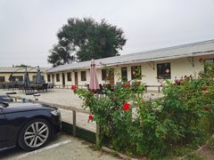 -北京群众马术培训基地