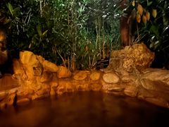 -深业半汤御泉庄温泉