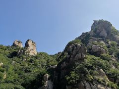-大岭沟猕猴桃谷风景区