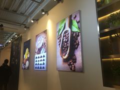 大堂-CoCo都可(360丰产店)