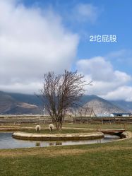 -纳帕海依拉草原
