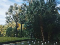 -三亚湾海居铂尔曼度假酒店