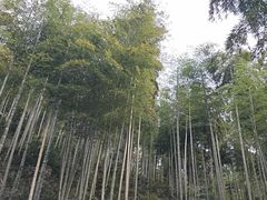 -山沟沟景区