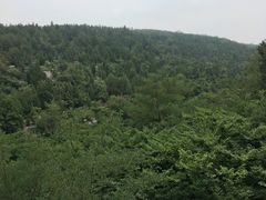 -青檀寺景区