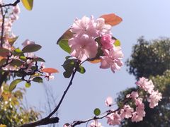 -洛龙公园