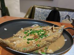 平锅大白刁-老板很二(吉大店)