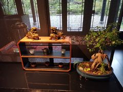 -春色如许·茶食餐厅(桃李春风店)