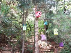 -云峰山自然风景区