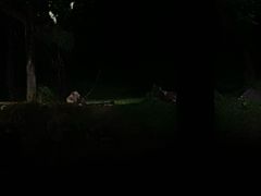 -夜间野生动物园